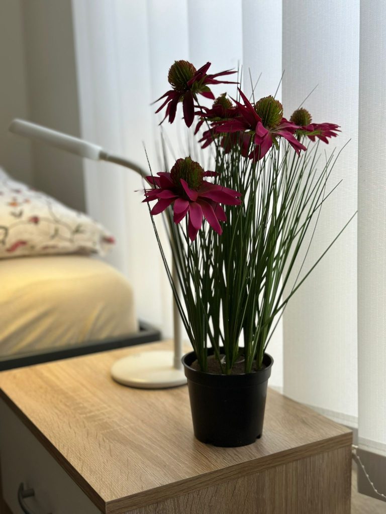 Gästebewertungen für die Pension Leipzig Ost